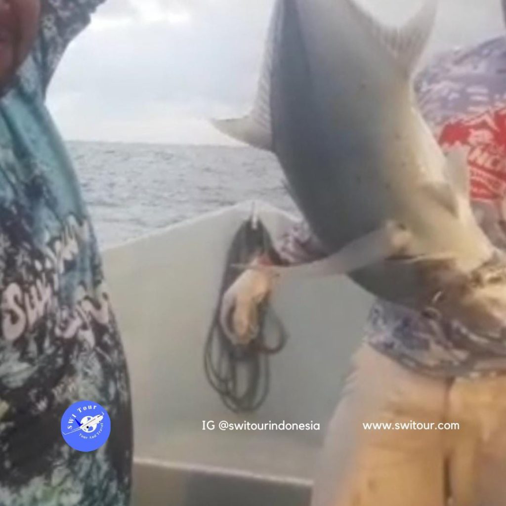 Medan Fishing