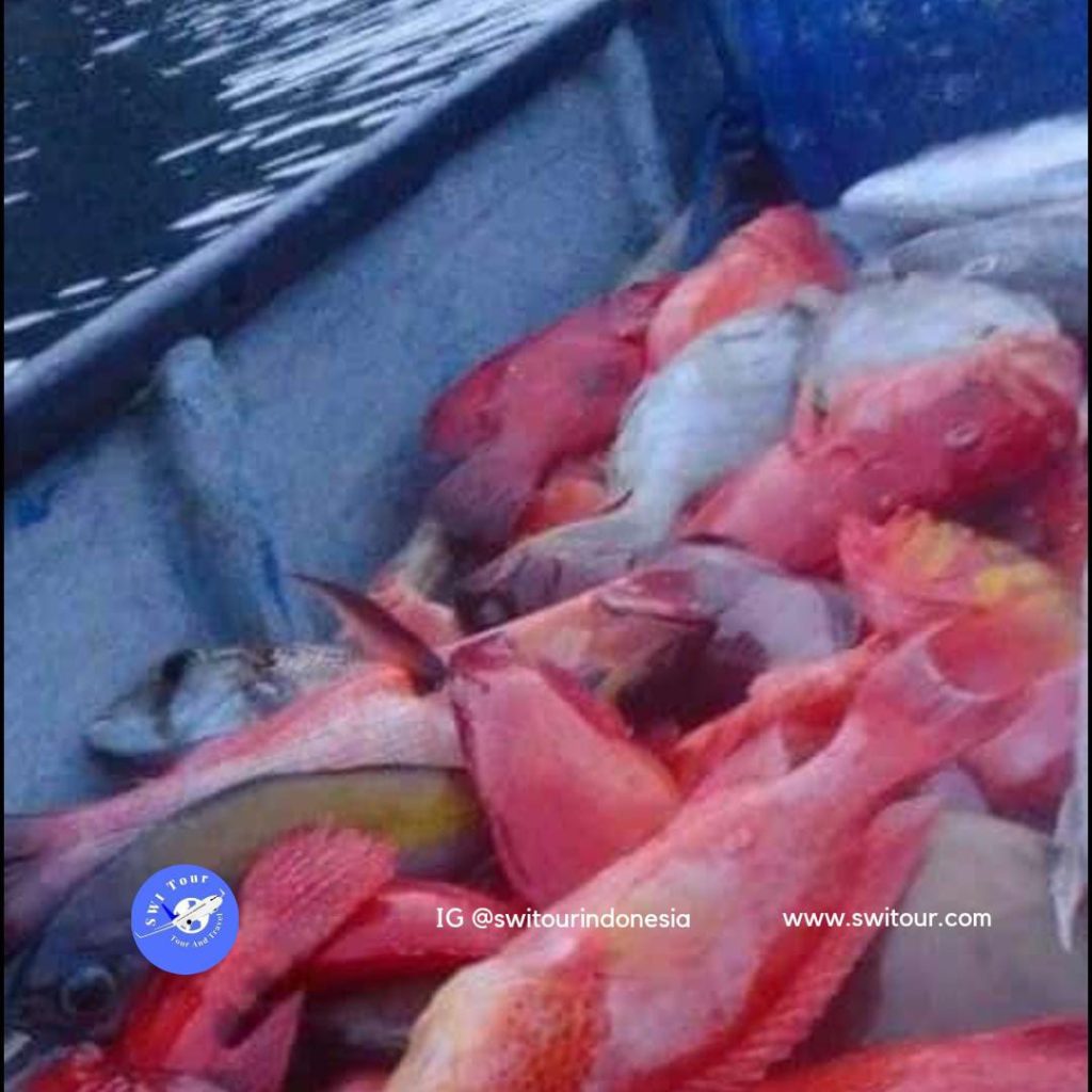 Medan Fishing Charters