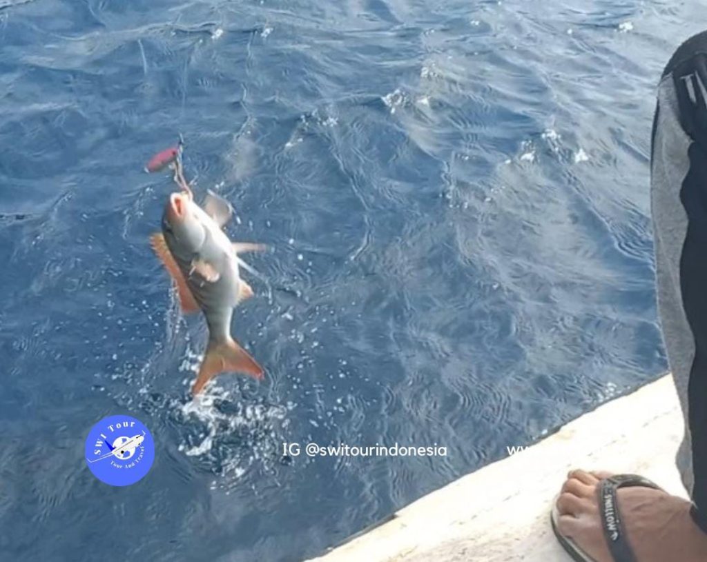 Medan Fishing Charter