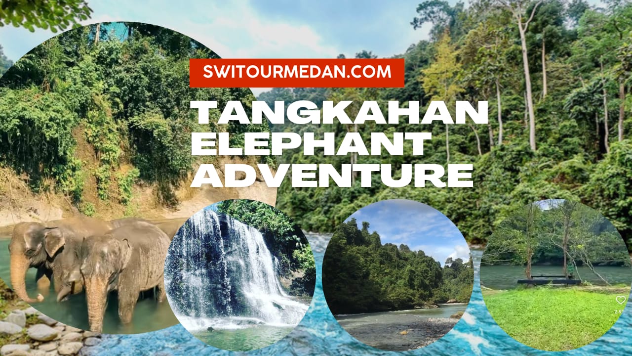 Tangkahan Elephant Adventure 3 Days 2 Nights, Medan Tangkahan Eco Tour 3D2N - Medan Tour Package & Lake Toba Sumatra Holiday Packages