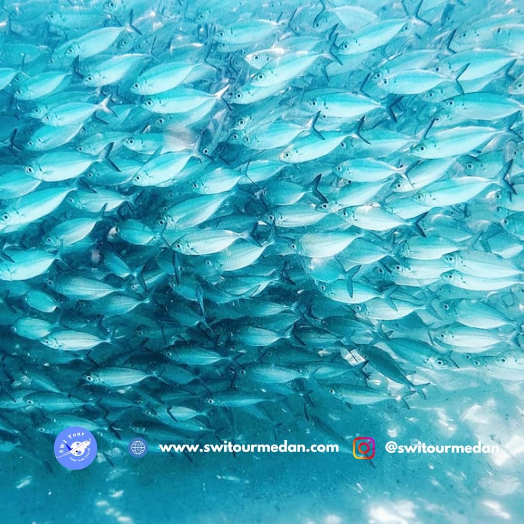 Gili Islands Tour Package