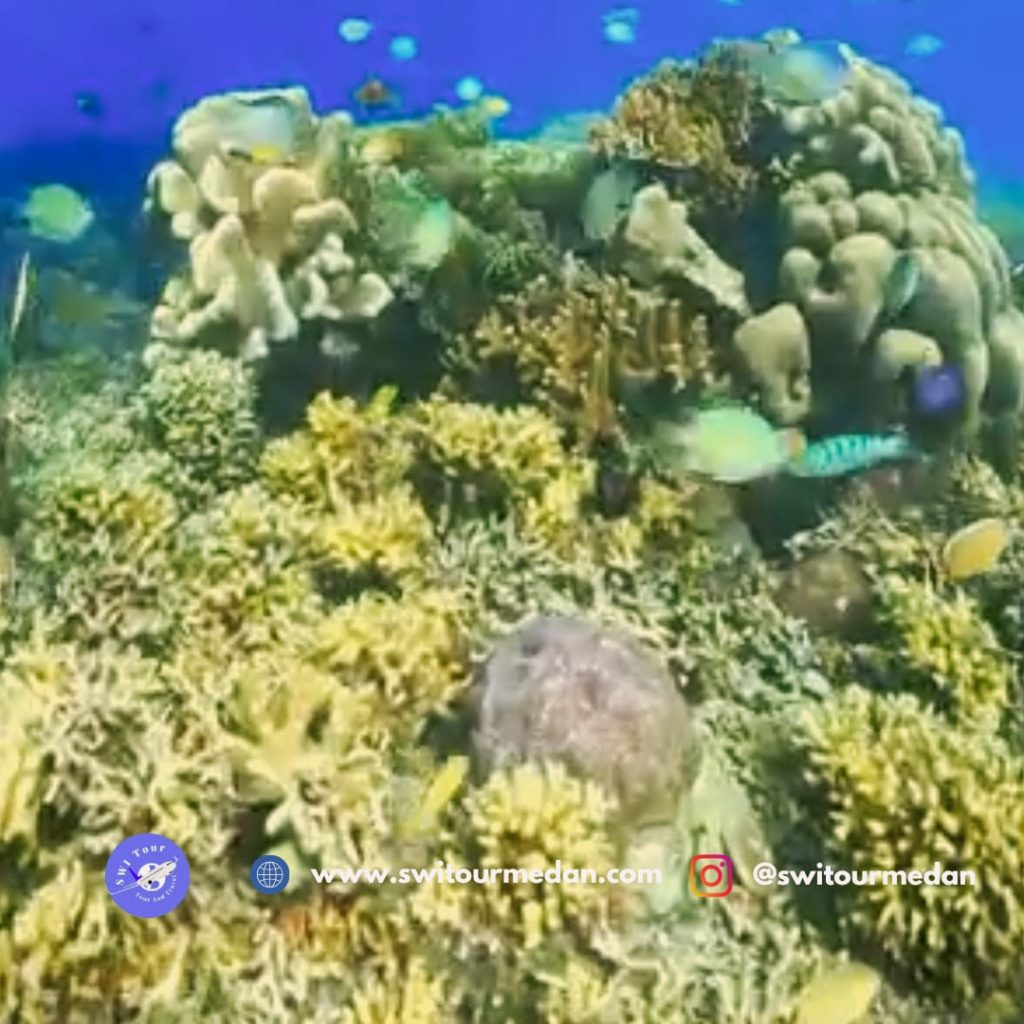 Lombok Tour Package