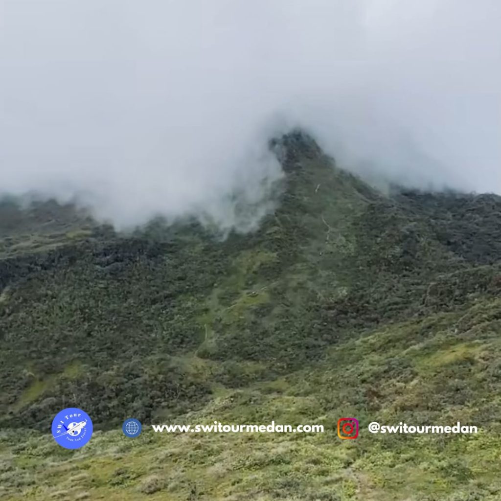 Mount Leuser