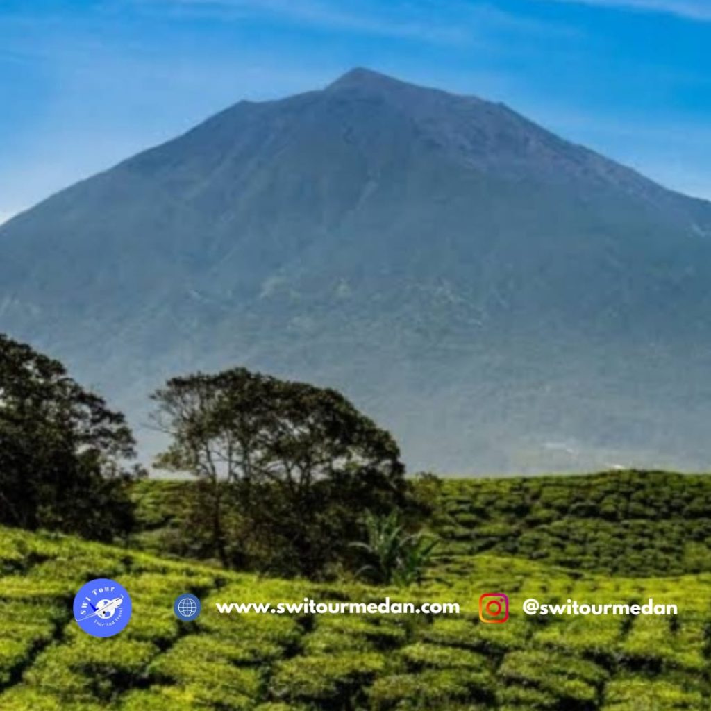 Mount Sumbing