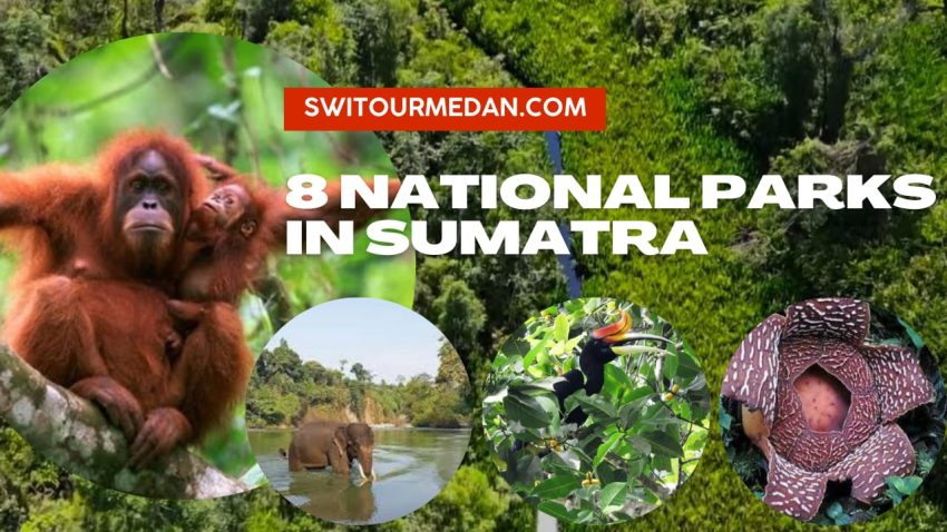 National Parks in Sumatra