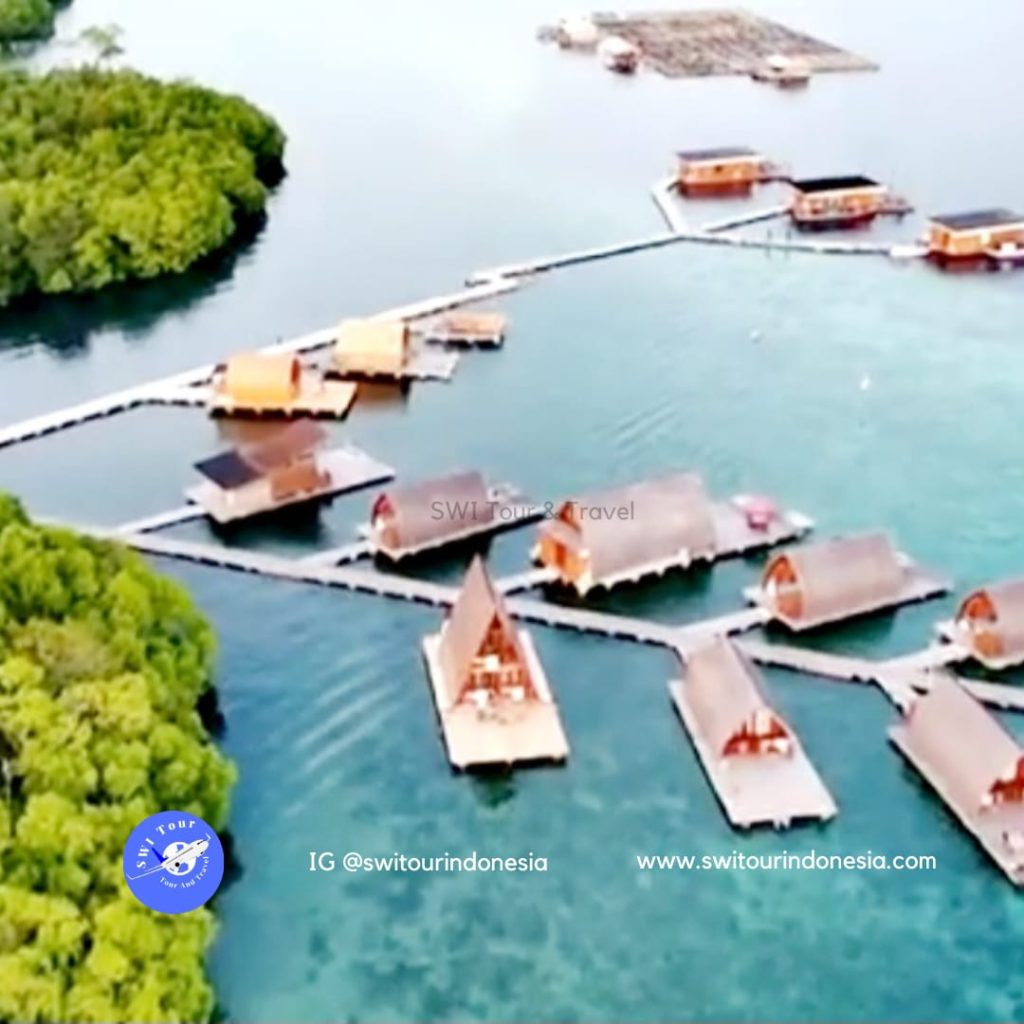 Snorkeling Pahawang