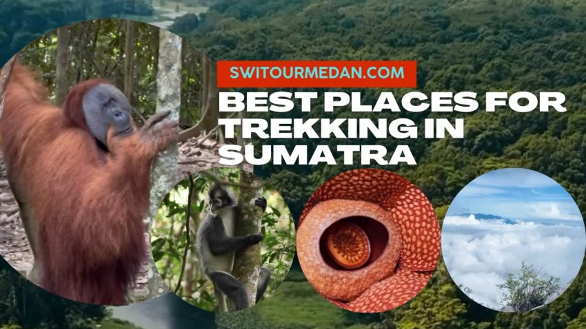 Trekking in Sumatra